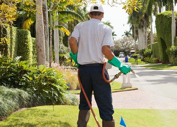 About South Elgin IL Pest Control Pros